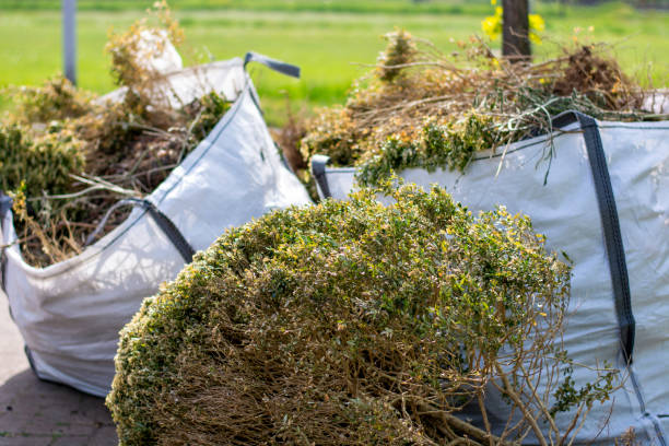 Best Commercial Junk Removal  in Chelsea, MI